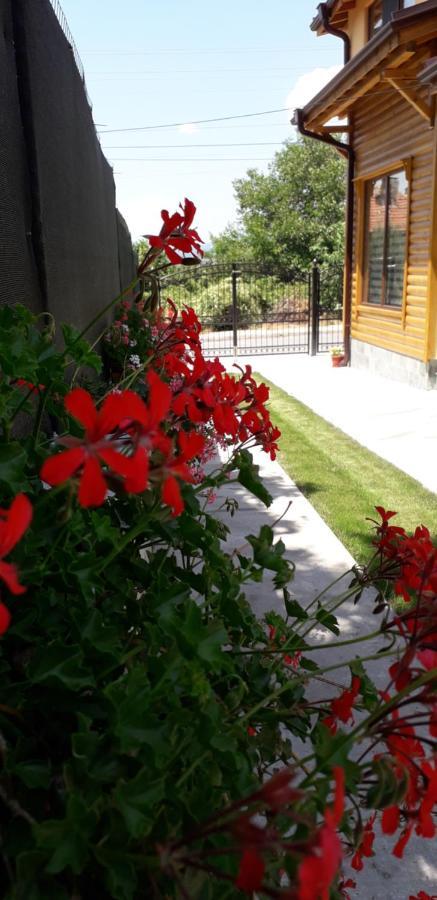 Guest House Ideal Sapareva Banya Esterno foto