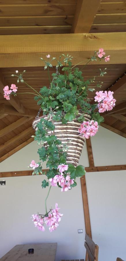Guest House Ideal Sapareva Banya Esterno foto